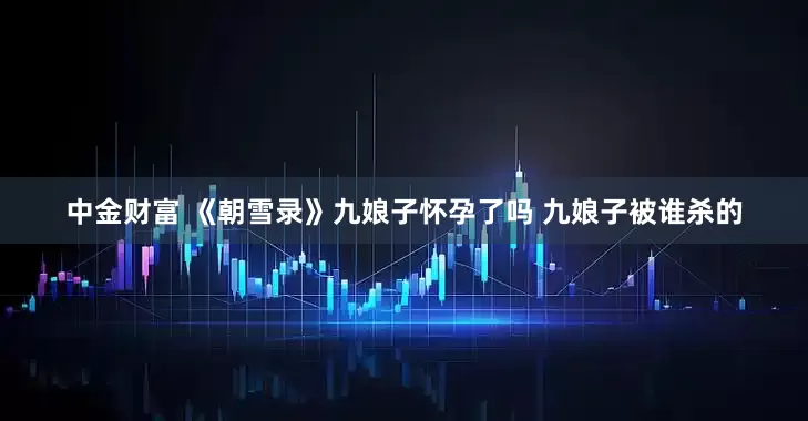 中金财富 《朝雪录》九娘子怀孕了吗 九娘子被谁杀的