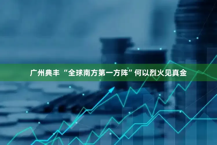 广州典丰 “全球南方第一方阵”何以烈火见真金